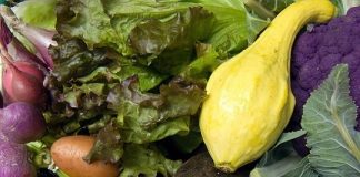 What Are the Best Low Carb Vegetables? low carb vegetables