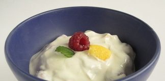 Best Yogurt For A Low Carb Diet best yogurt for a low carb diet