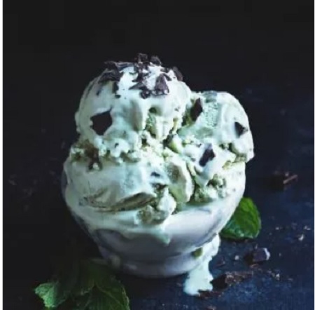 low carb mint chocolate chip ice cream 