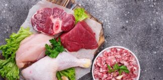 No Carb Diet | Is it Good for You? no carb diet