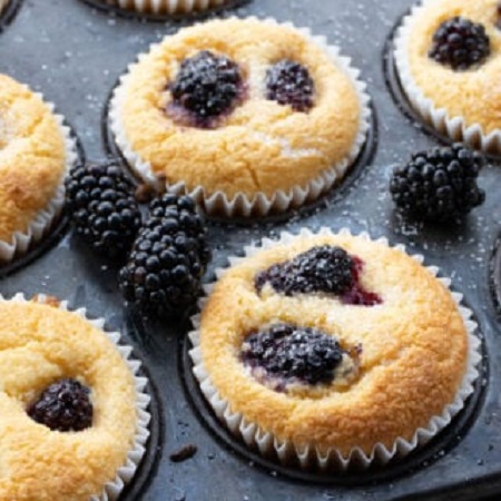 low carb blackberry muffins 