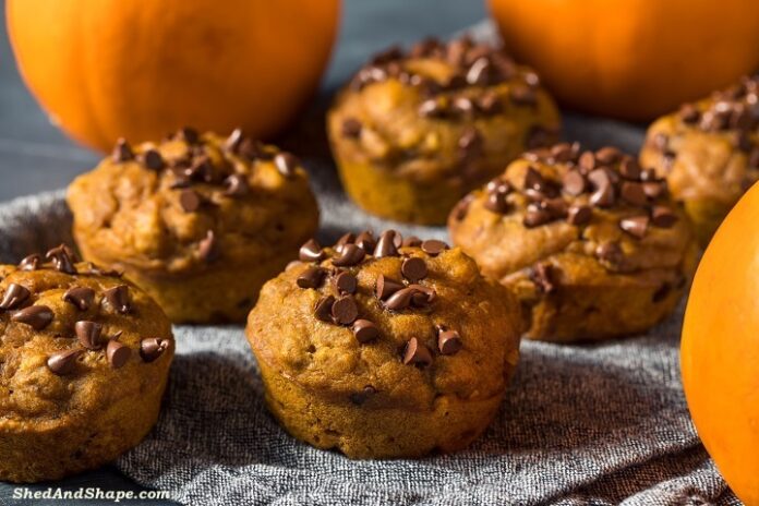 keto pumpkin chocolate chip muffins