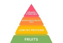 The Zone Diet: Is It Low Carb? the Zone Diet