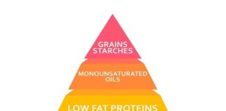 The Zone Diet: Is It Low Carb? the Zone Diet